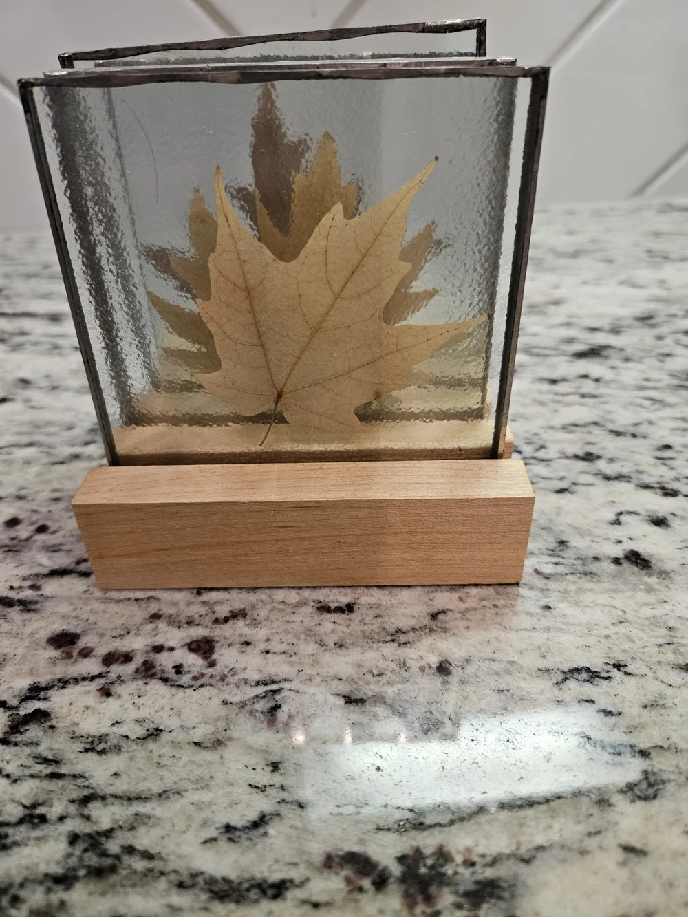 Vintage Set of 4 Coasters Leaves Preserved in Lucite Fall Autumn 4